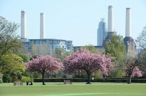 SPRING IN BATTERSEA PARK TODAYPICTURE JEREMY SELWYN01/05/2013